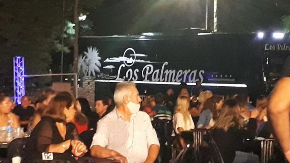los palmeras