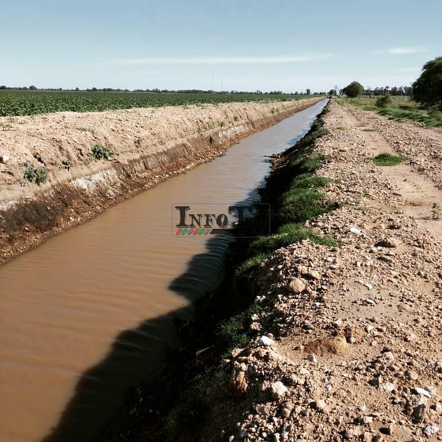 51236131_2169716216422478_4419634670296104960_n