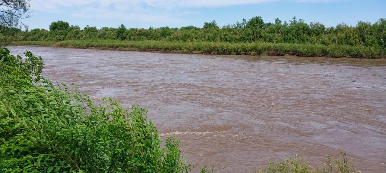 153690_imagen-de-whatsapp-2024-01-04-a-las-13.30.44_0fadb52f