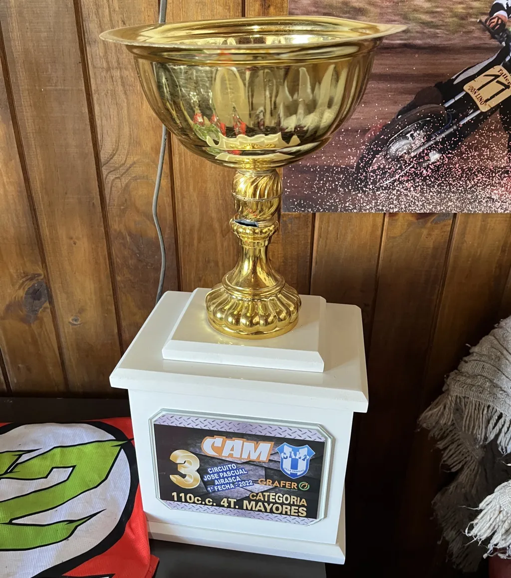 leo miliotti 4 (FILEminimizer)