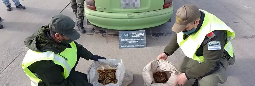 8541322d-5da8-4a6a-98d3-3f3482b18c21