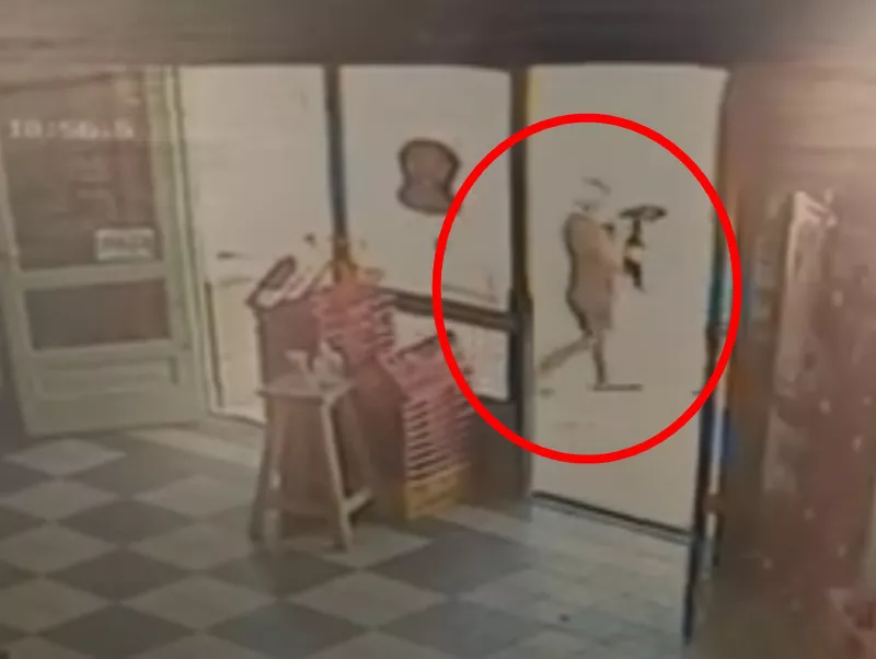 robo perro super chino