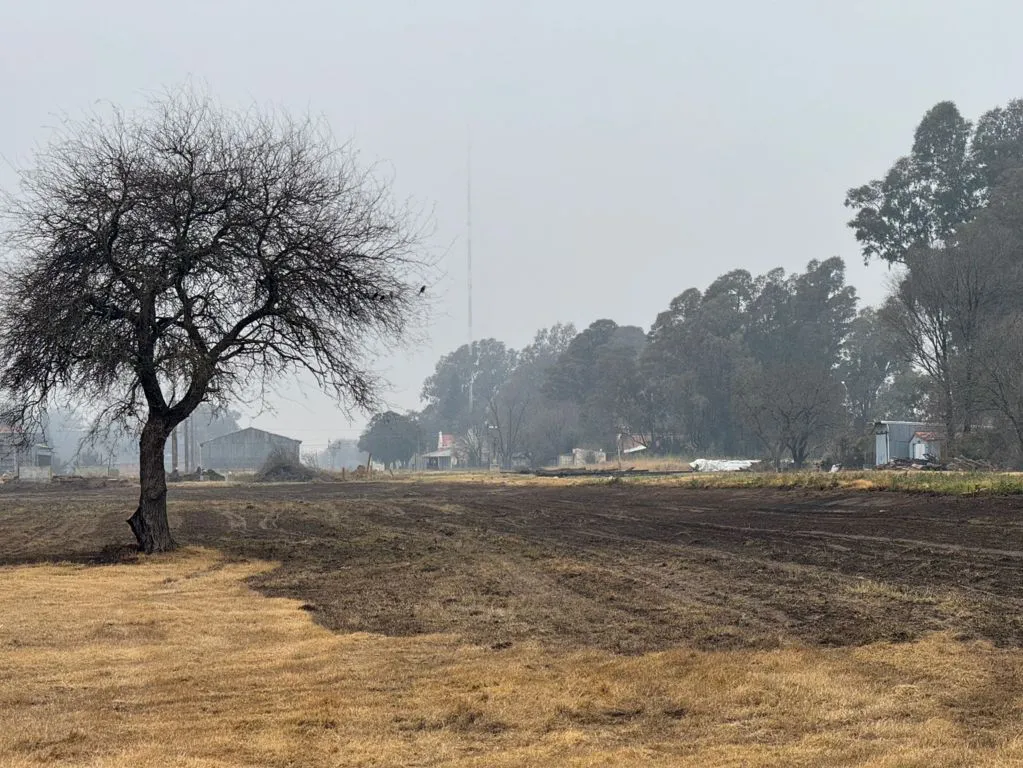ferrocarril terrenos 9 FILE