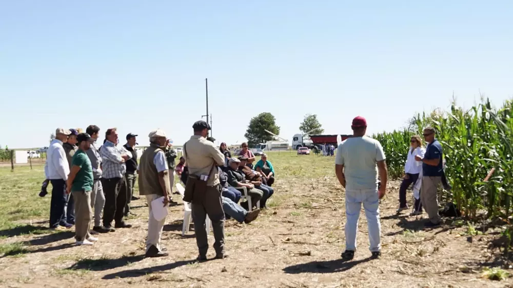 2162688_-000015- (FILEminimizer)