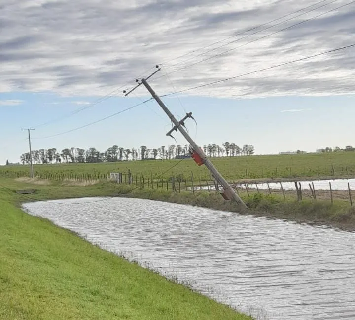 columna eléctrica caída
