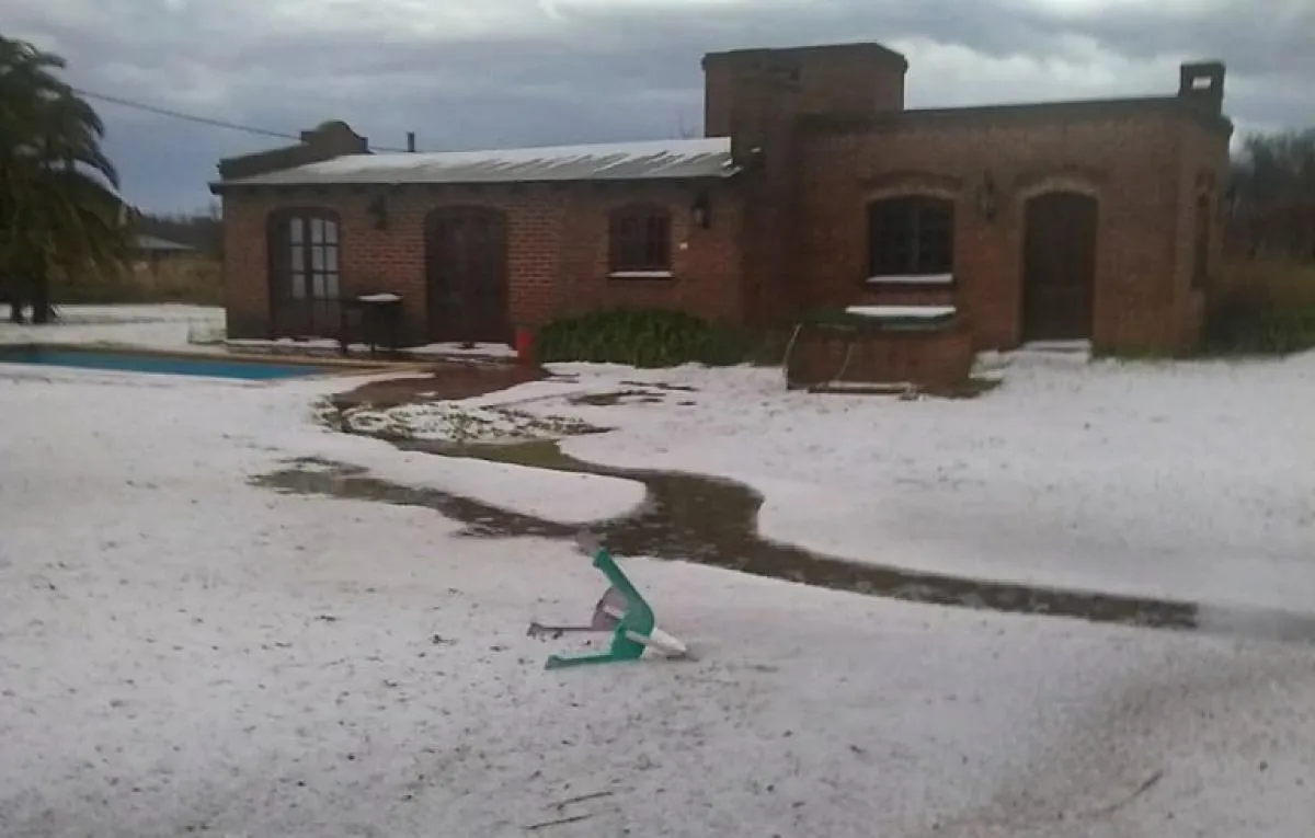 5ffbbde499369f82a01723745c3625f4_M