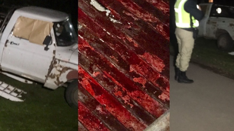 f800x450-59737_111183_79