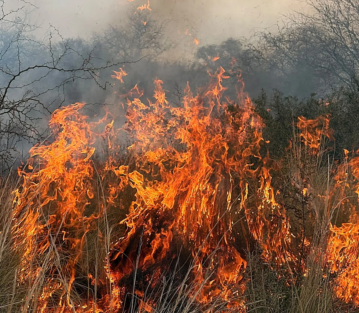 INCENDIOS CALDENES 3