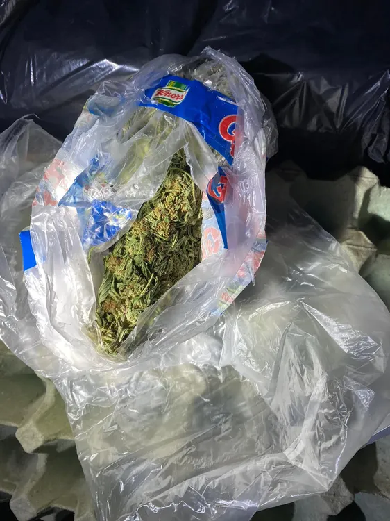 249334_2ea8a19f-1bb4-4e3f-b1f6-531777396bb3