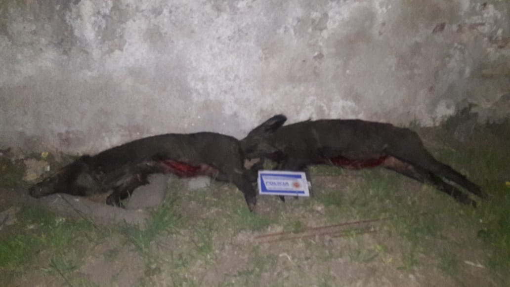 39745b11-6642-47b6-8e5b-eda0c727c103