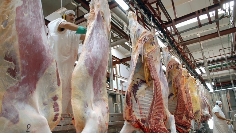 CARNE FRIGORIFICO