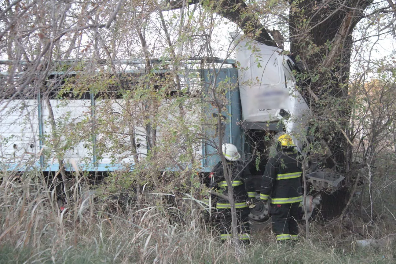 ACCIDENTE CAMIONERO ALTA ITALIA 3