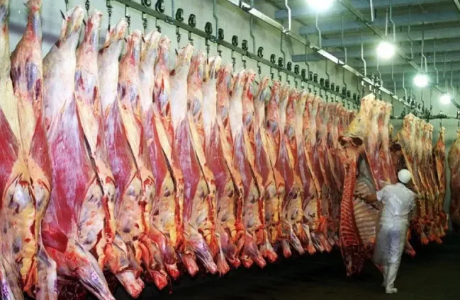 imagen_2025-09-04_093020579