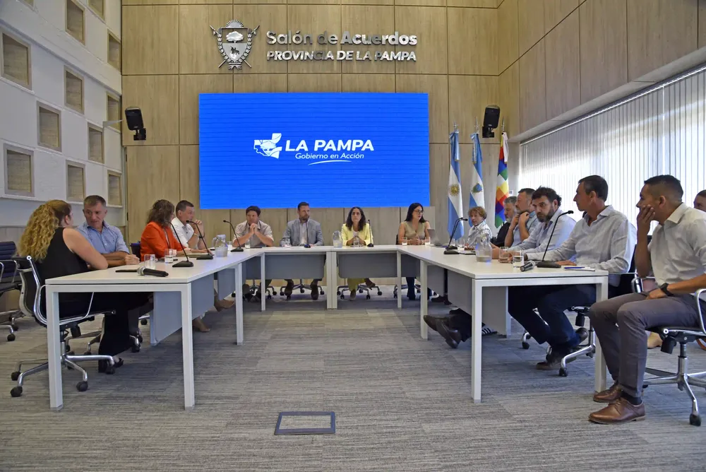 EL MEDANITO LICITACIÓN DESIERTA C