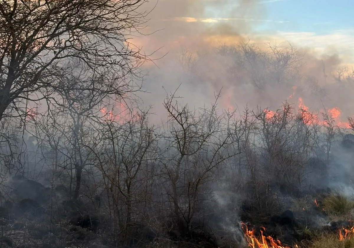 INCENDIOS CALDENES 2