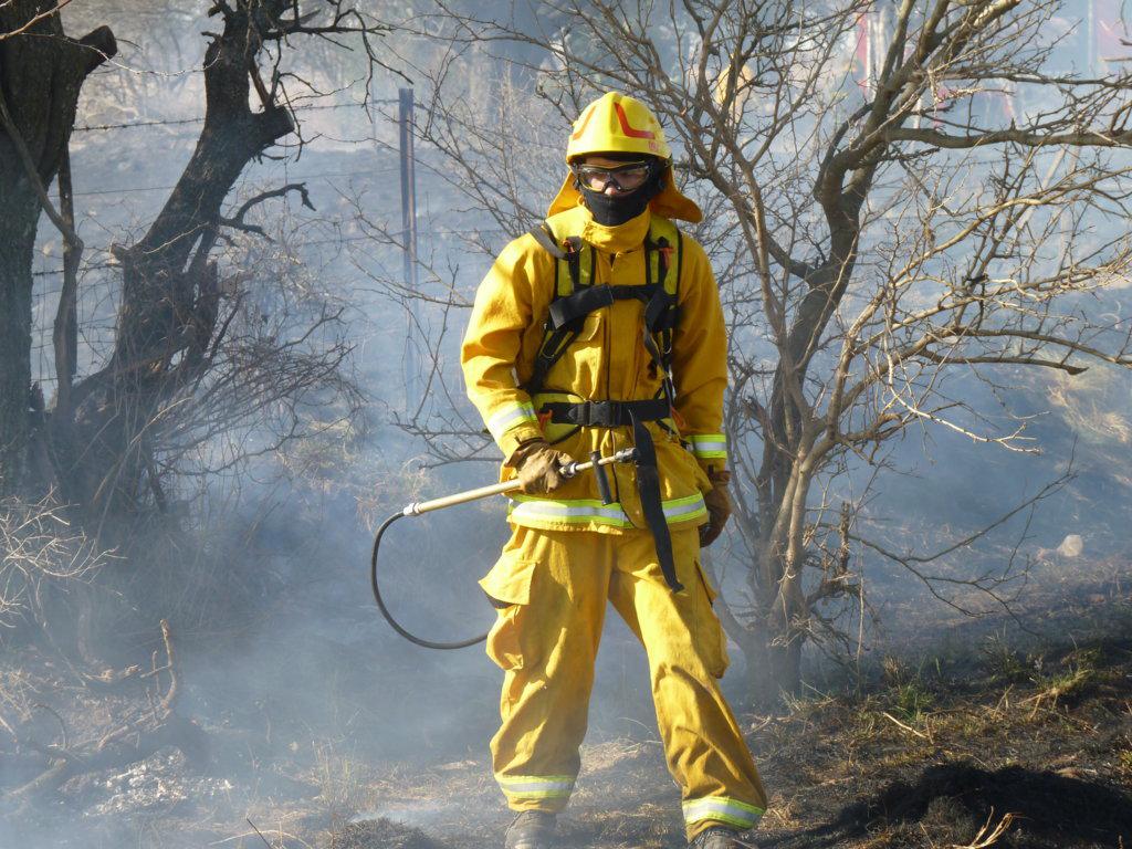 P1050805 (FILEminimizer)