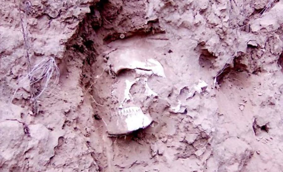 Craneo con 2100 años