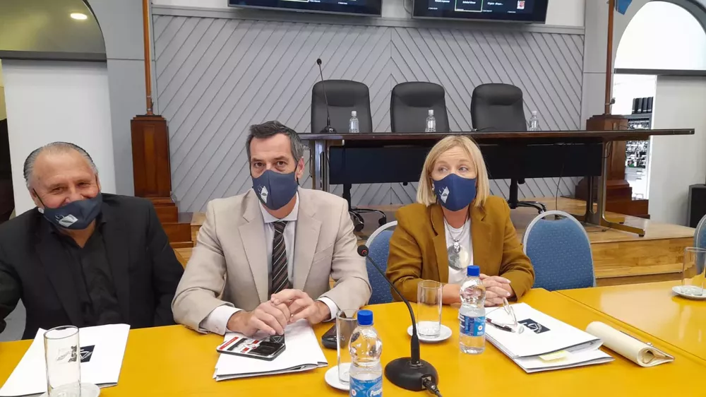 Mac Allister en diputados Pampetrol 21