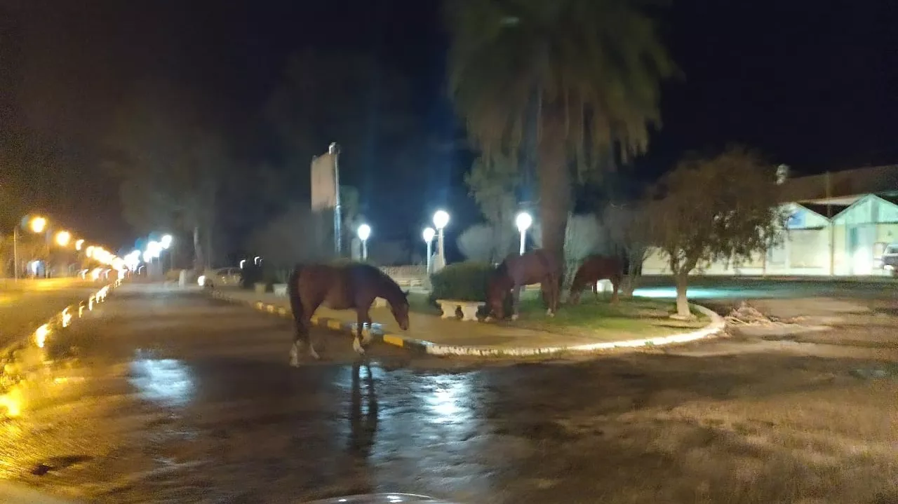 74c320d5-cb1c-45cc-ab1d-2190cc74619a