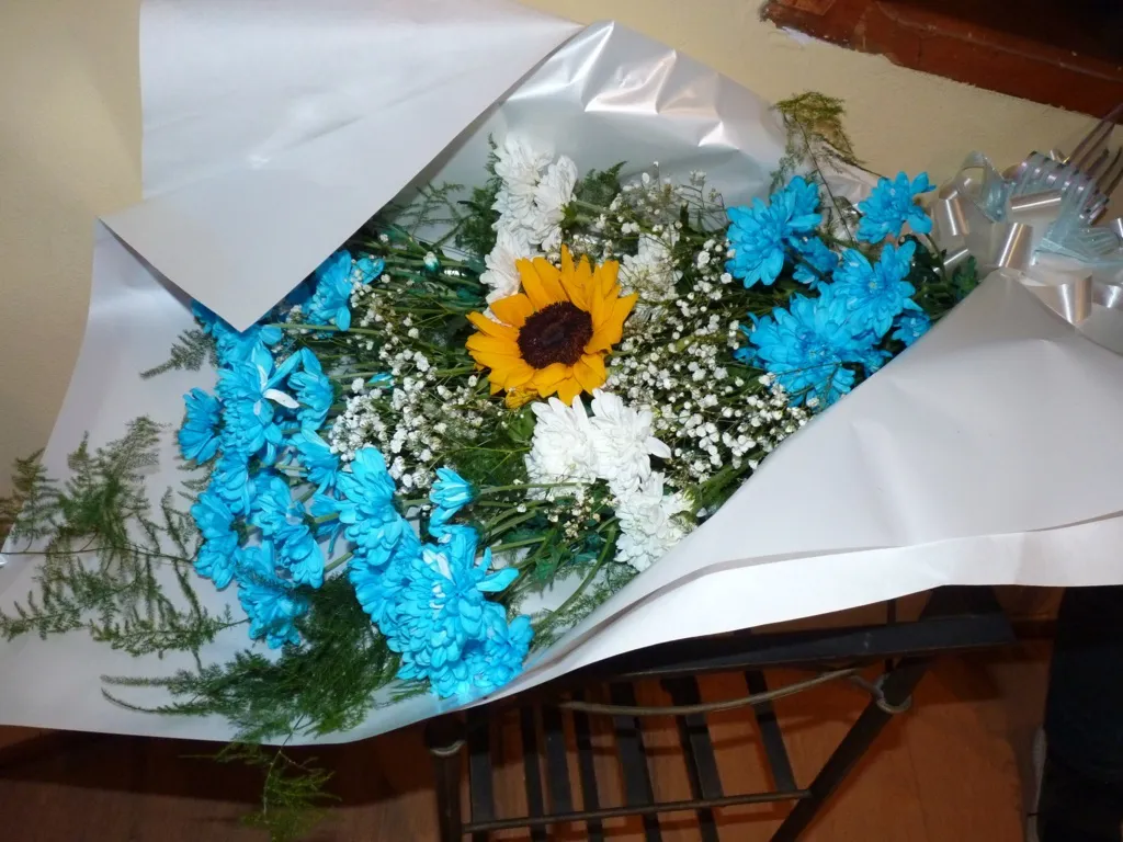 2 de abril 2024 4 (FILEminimizer)