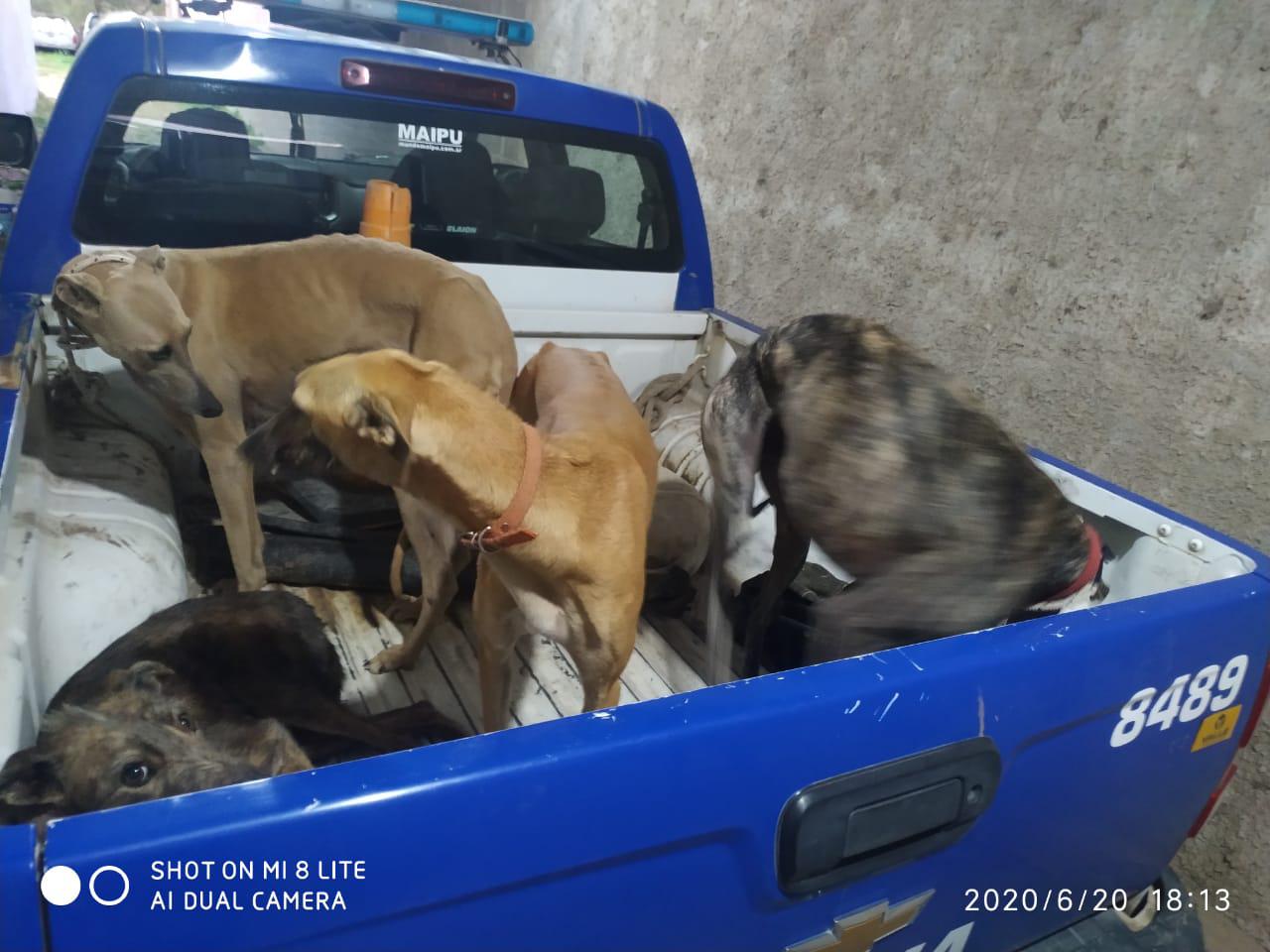 c3f14004-c9c1-4f9e-9d77-873fb82707a5