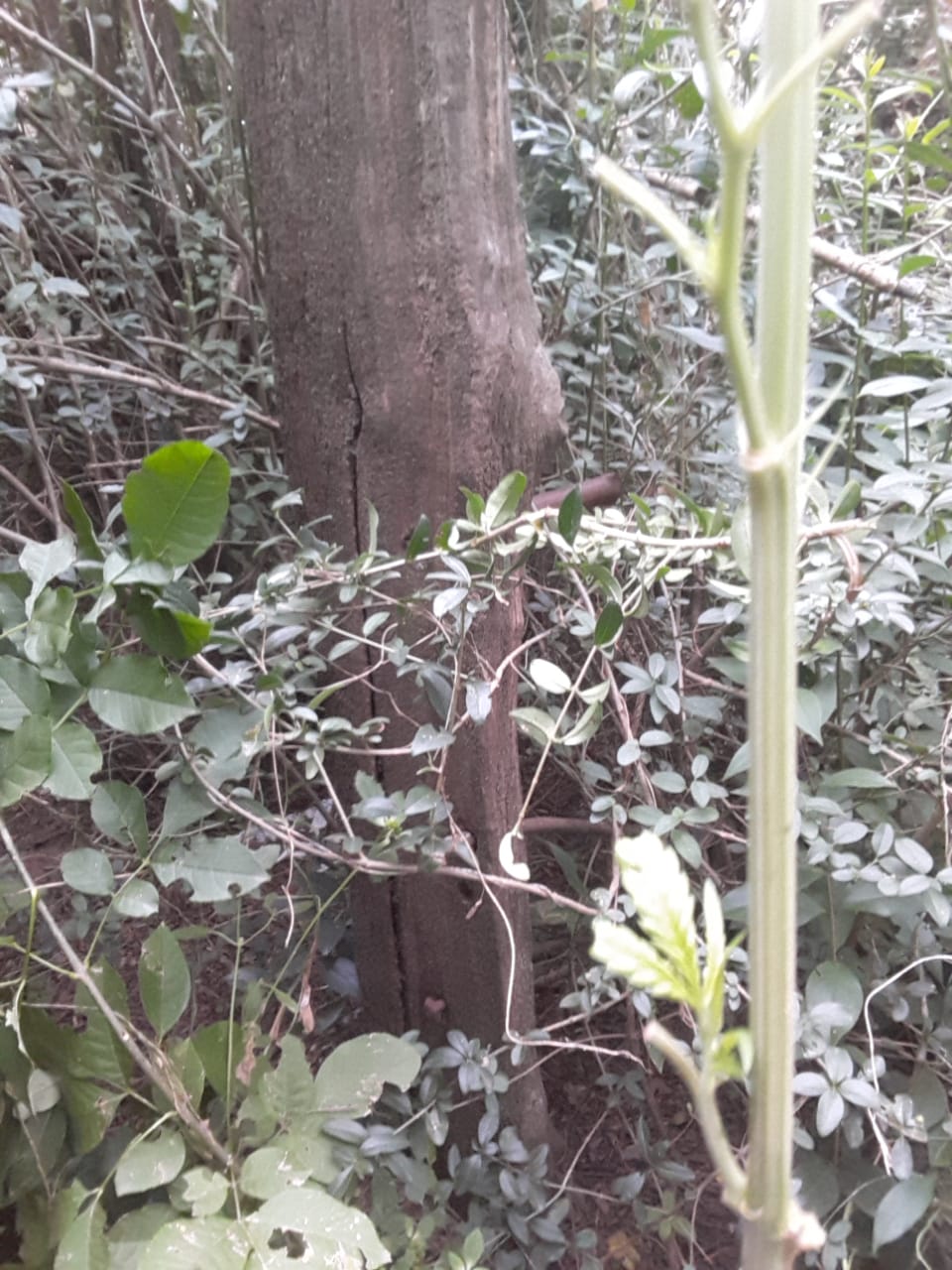 a3206aaf-0888-4f64-a097-a4321a8292ce